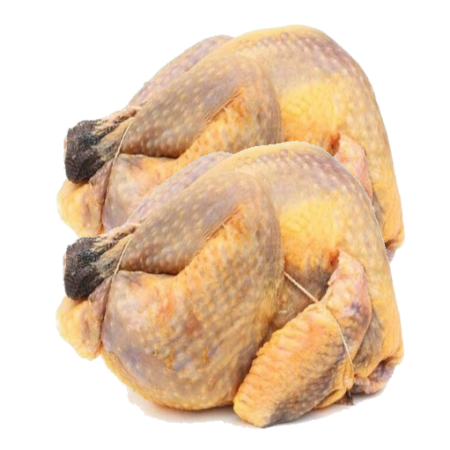 Pintade fraiche